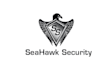 design aesthetics security company logo