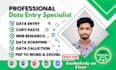 do data entry specialist, web research, admin suppot, help