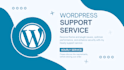 provide professional wordpress support and fixes hourly service