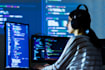 provide you best web designing and web developing services