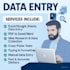 data entry, typing, image to text, pdf to text, audio transcript, copy paste