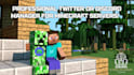 be your professional twitter or discord manager for minecraft servers