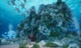 create cinematic and cgi videos using unreal engine 5