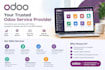 develop, customize and deploy odoo erp