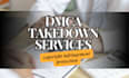 provide expert dmca takedown and copyright infringement protection services