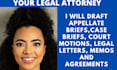 write winning appellate briefs, case briefs, motions and  complaints