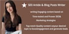 writing search engine optimization articles and blog posts