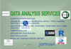 analyze qualitative, quantitative survey data and report using spss excel r tool