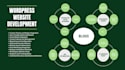 design and develop a professional wordpress website