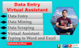 be professional data entry virtual assistant operator