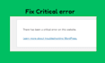 fix 403, 404, 500, 503, critical error, fatal error, database error any error on