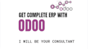 your odoo technical functional consultant