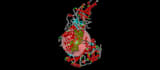 provide expert drug discovery services