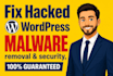 wordpress malware removal, remove malware from full hosting, remove virus