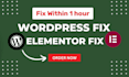 fix elementor, 500 internal server error, wordpress bugs fix  1 hour