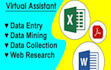 do data mining , data entry, copy and paste works