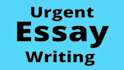 do urgent essay writing in apa , mla style