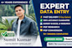 do fast data entry, web research and copy paste