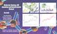 do molecular dynamics simulation, molecular docking and bioinformatics analysis