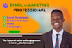 create email campaigns, email flows, and email strategies