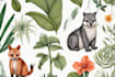 draw an animal and botanical illustration