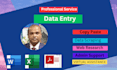 do professional data entry and web research job