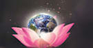 guide you to mindful living in addition to banishing your loneliness