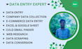 do data entry expert, web research, typing and copypaste