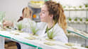 do scientific writing on biological and plant sciences