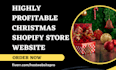 build christmas black friday halloween xmas dropshipping shopify store website