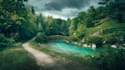 create a professional environmental concept art
