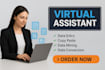 be your virtual assistant for data entry, data mining, typing, web research