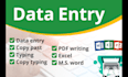 do any type of excel work