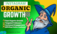 do super fast organic instagram growth