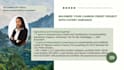 write your pdd project document design carbon credit project