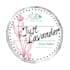 create a custom logo design