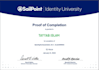 provide sailpoint iiq plugin development and  implementation