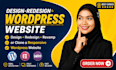 design, redesign, revamp wordpress website build, clone website development