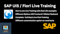 provide full stack sap ui5 fiori rap cds btp hana live training