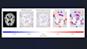 train and finetune deep learning models and apply xai