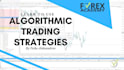 develop algorithmic trading strategies tailored for you