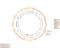 provide expert whole genome analysis services