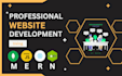 full stack mern web application developer and pwa expert
