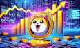 develop token, meme coin, meme website and solana, launchpad