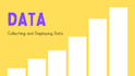 perform data analytics projects using r, sql, and sheets