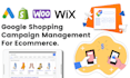 setup and manage google shopping ads for sales