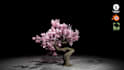 create custom tree 3d model with wind effect