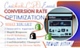 website audit, shopify review, shopify sales, shopify optimization, shopify cro