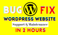 wordpress bugs fix, errors, issues and maintains websites