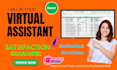 do perfect data entry,web research and copy paste